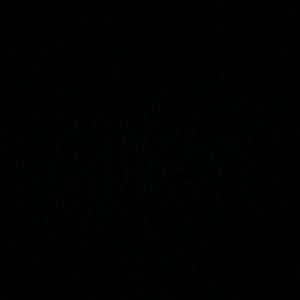 Meet your Posher, Isaiah